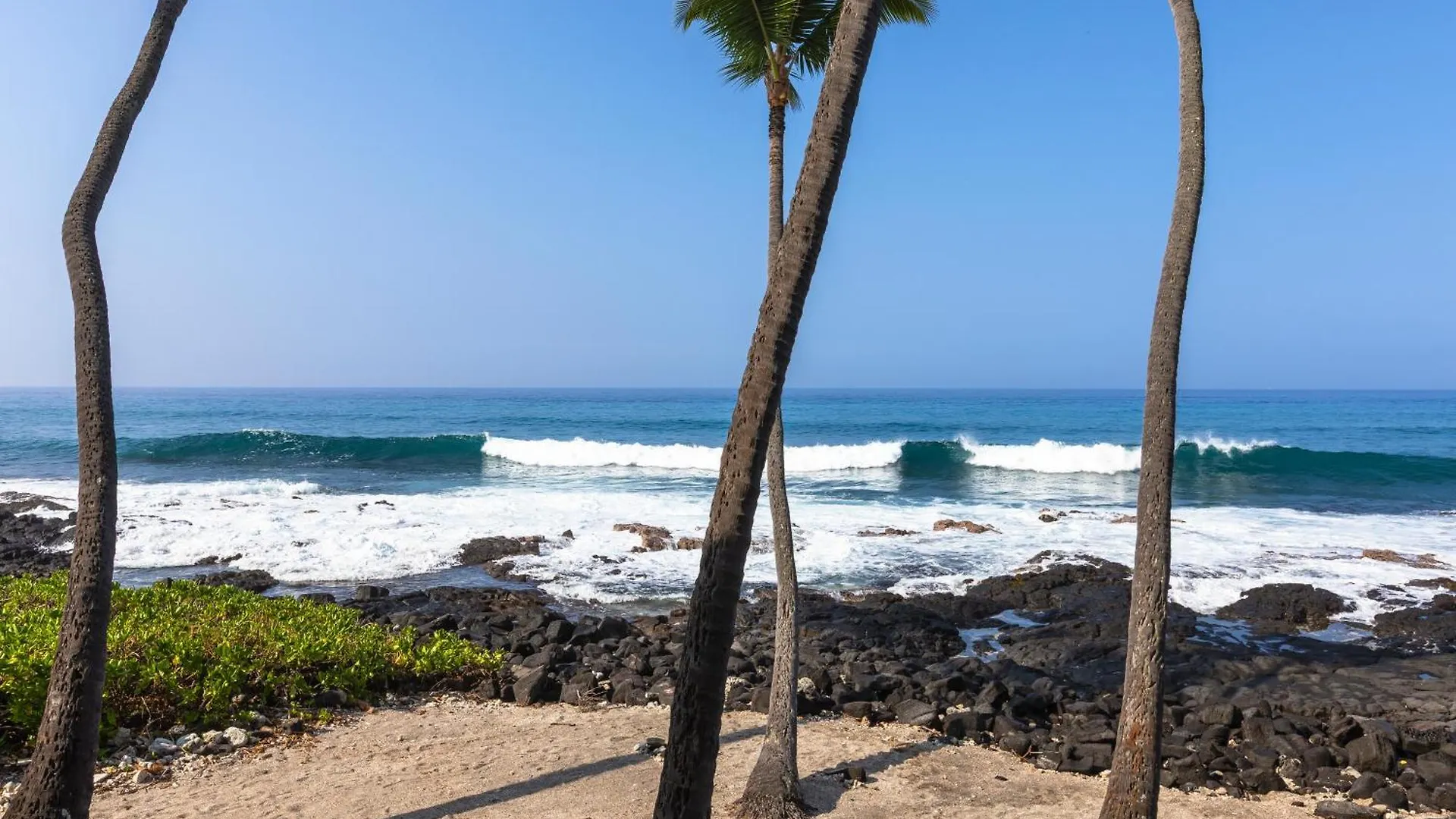 Kona Nalu 103 Apartment Kailua-Kona